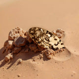 Catrice DESERT DUNE Hair Clip C01 1pcs