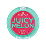 essence Lip and Cheek Tint Juicy Melon