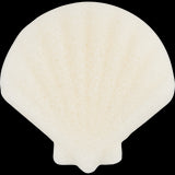 essence face sponge Cute as Shell konjac 01