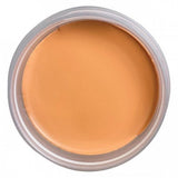 Technic Bronzing Base 30g